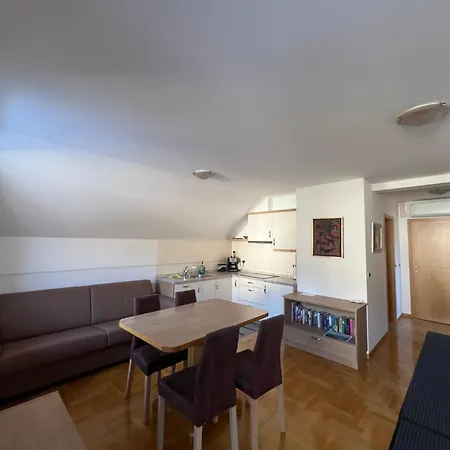 Brumec Πανσιόν Bohinj