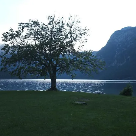 Guest house Brumec Bohinj