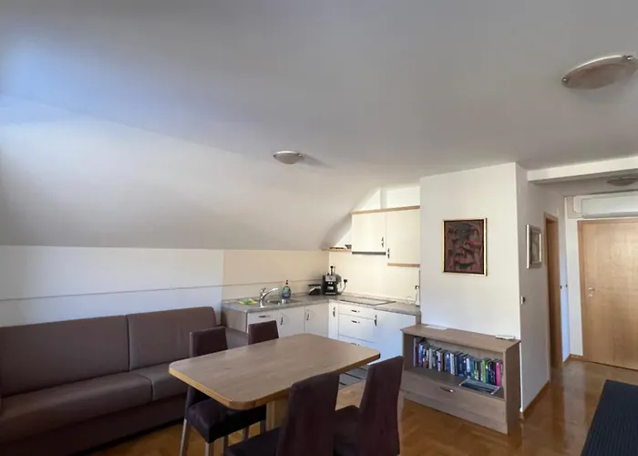 Brumec בית הארחה בוהין